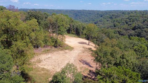 Vacant Land For Sale - 4.63 ACRES Lee Street<br/> Guntersville, AL 35976