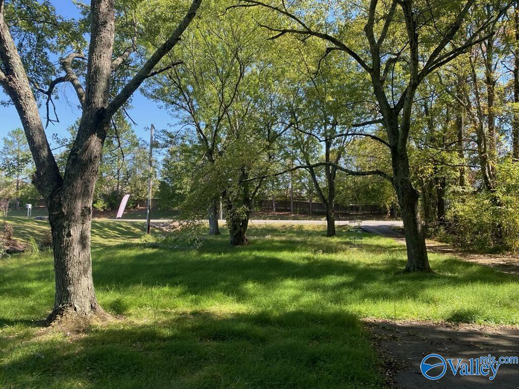 1520 Balch Road, Madison, Alabama image 10