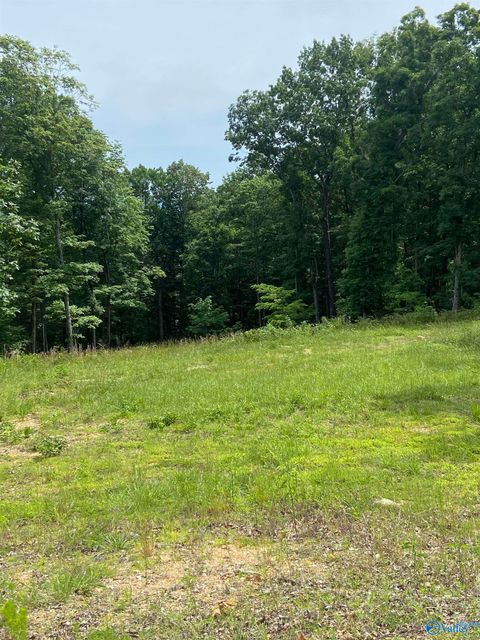 Vacant Land For Sale - 42 Watson Grande Way<br/> Owens Cross Roads, AL 35763