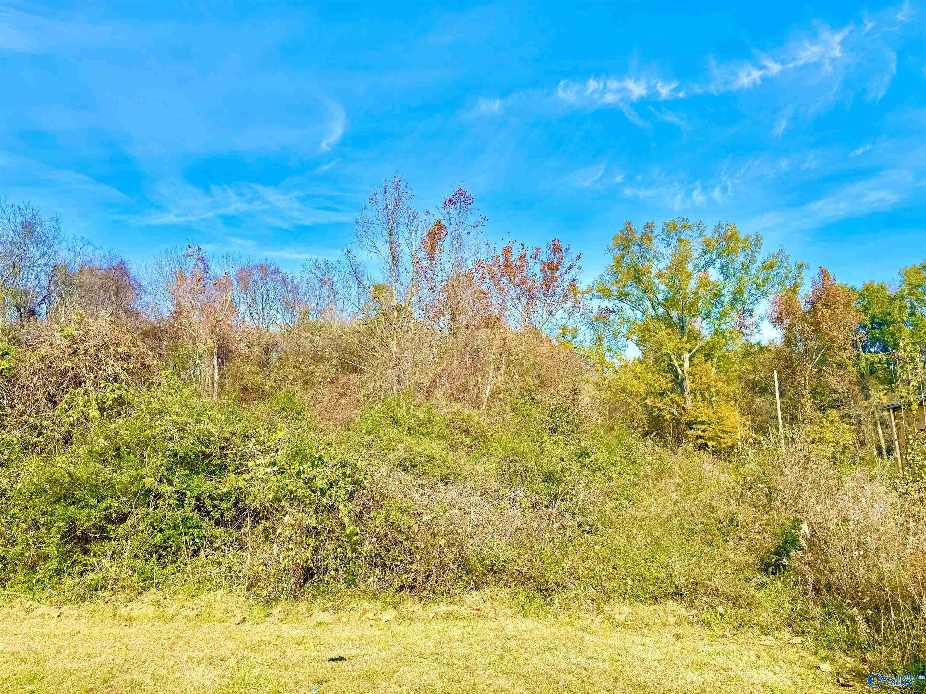 8.2 Acres Nelms Road, Decatur, Alabama image 3