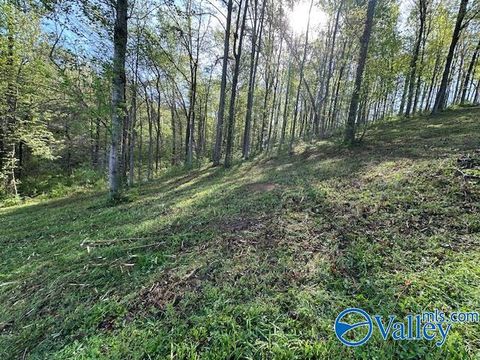 Vacant Land For Sale - LOT 28 Hualapai Lane<br/> Guntersville, AL 35976