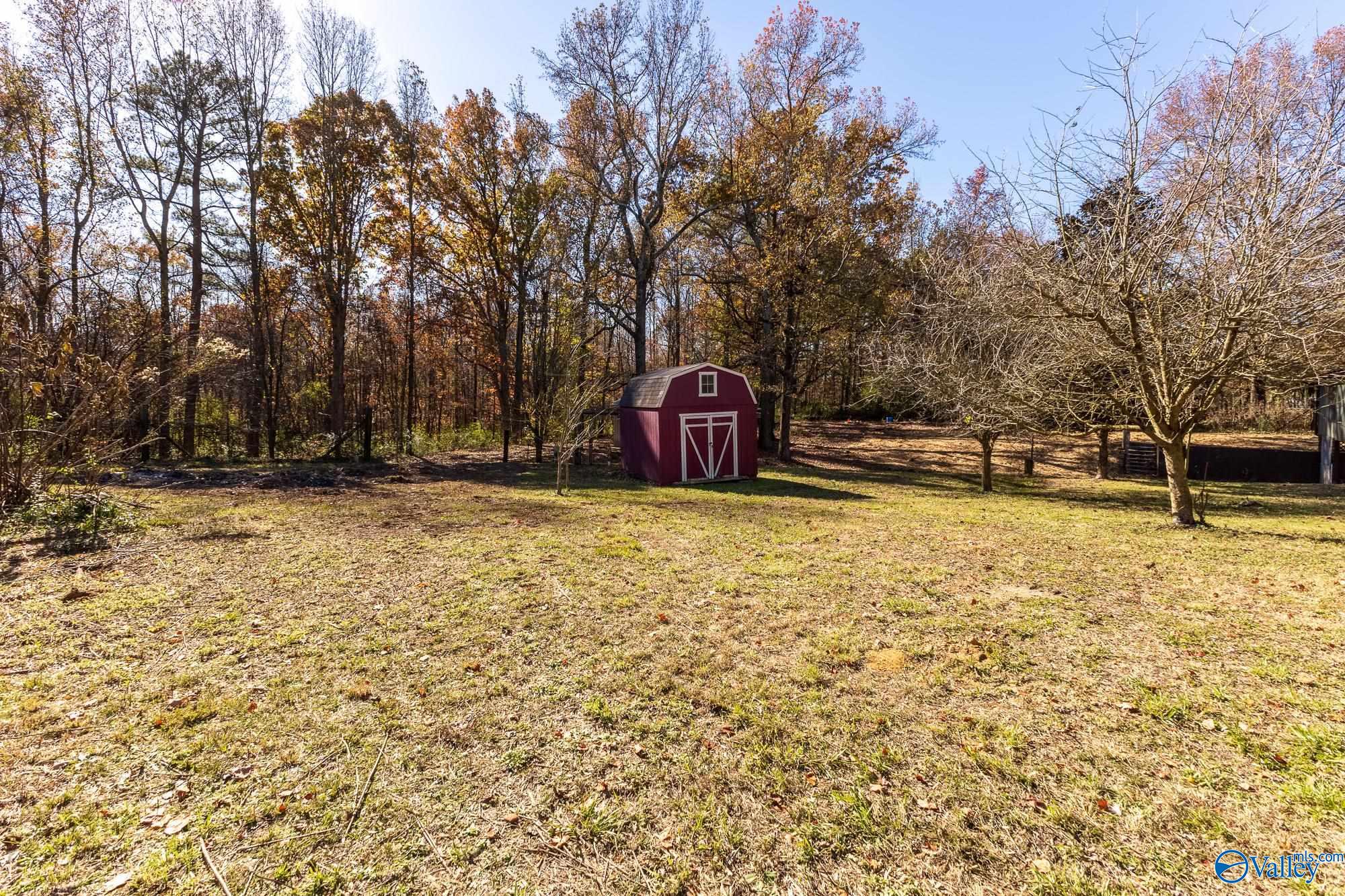 1678 Wilhite Road, Falkville, Alabama image 35