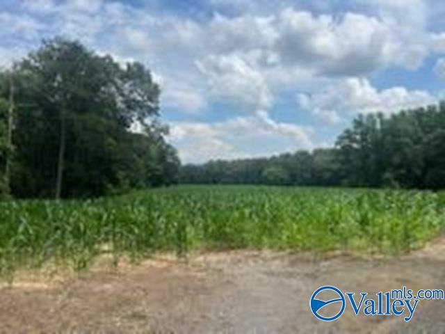 12 Ac County Road 57, Fort Payne, Alabama image 2