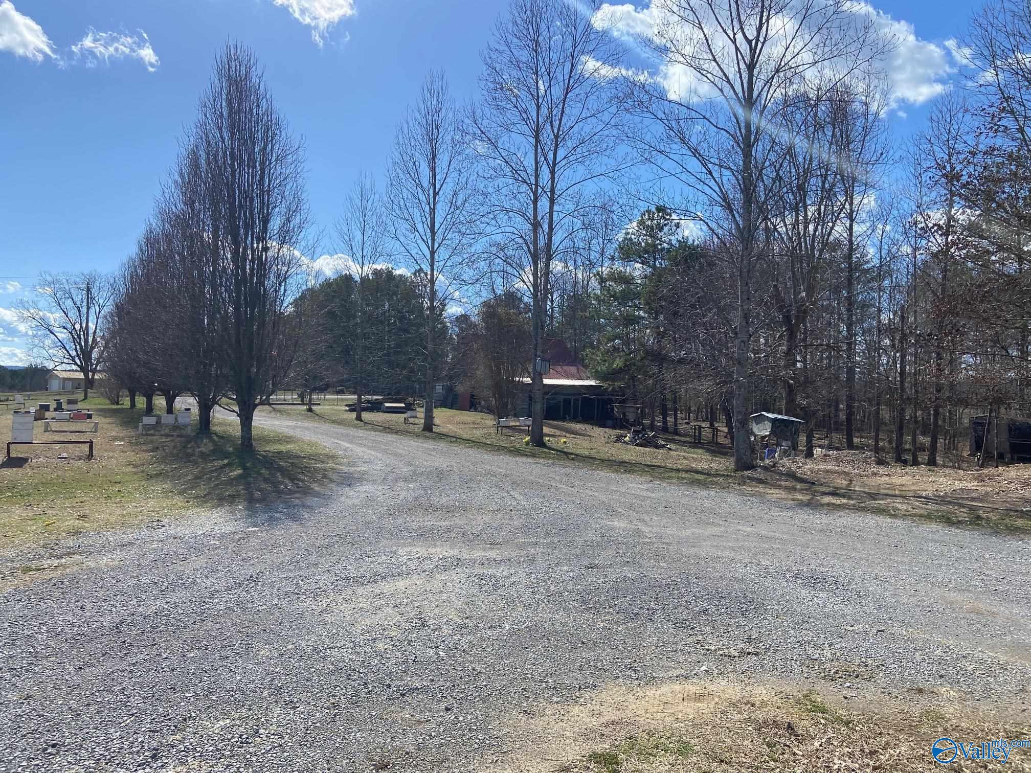 1590 Tabor Cutoff Rd, Gadsden, Alabama image 6