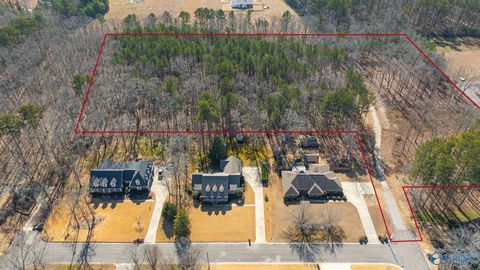 Vacant Land For Sale - 2050 Heritage Lane<br/> Hartselle, AL 35640