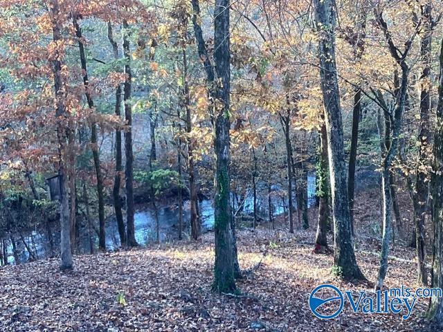 7663 County Road 92, Rogersville, Alabama image 44