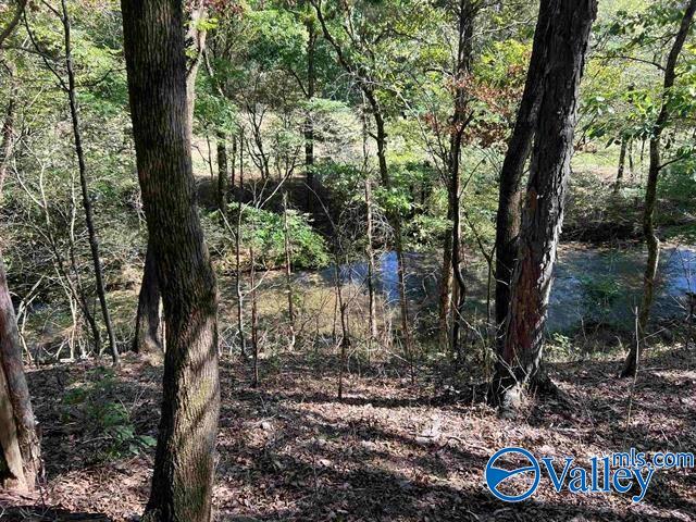 7663 County Road 92, Rogersville, Alabama image 45