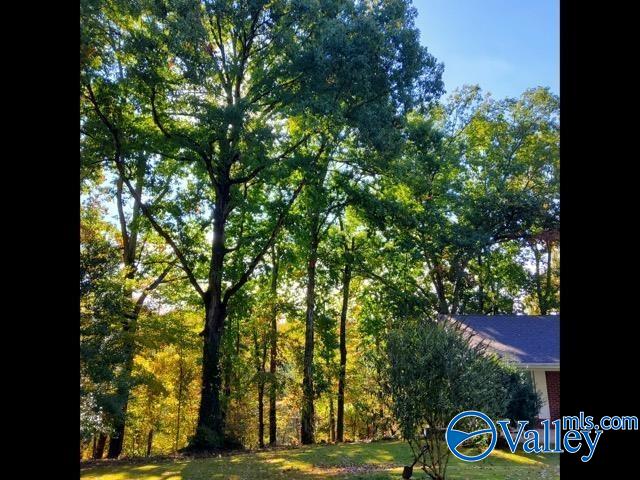 7663 County Road 92, Rogersville, Alabama image 43