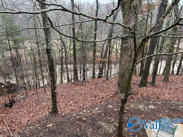7663 County Road 92, Rogersville, Alabama image 42