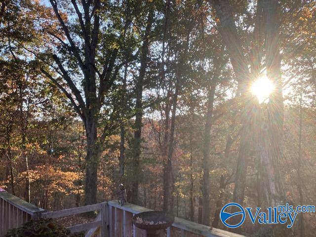 7663 County Road 92, Rogersville, Alabama image 40