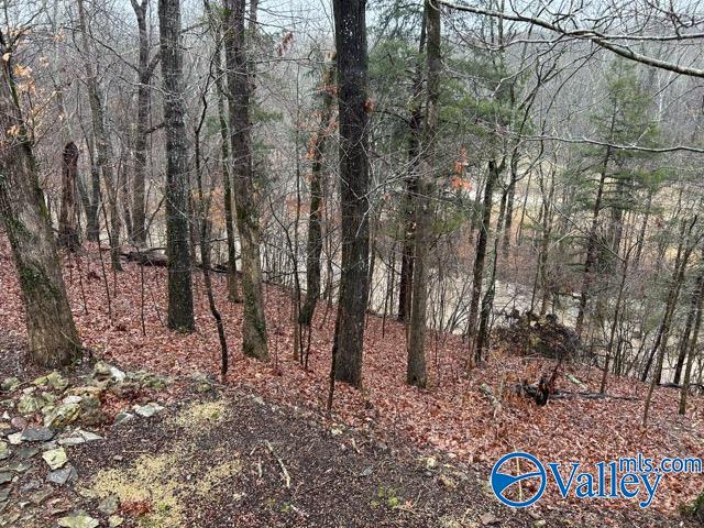 7663 County Road 92, Rogersville, Alabama image 41