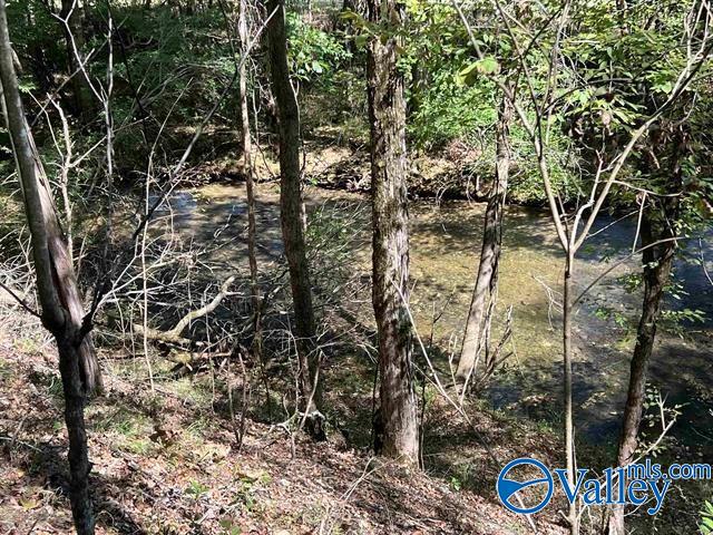 7663 County Road 92, Rogersville, Alabama image 46
