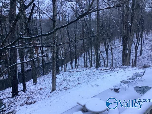 7663 County Road 92, Rogersville, Alabama image 50