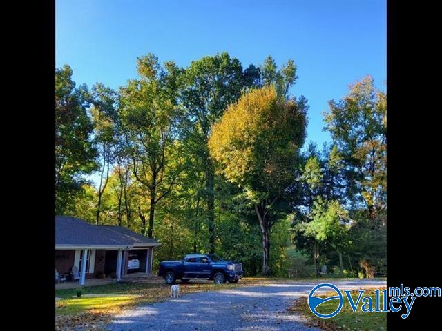 7663 County Road 92, Rogersville, Alabama image 36