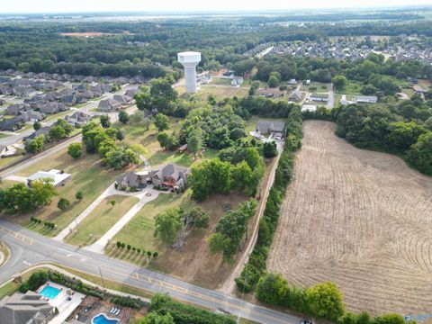 Vacant Land For Sale - 10593 Burgreen Road<br/> Madison, AL 35756