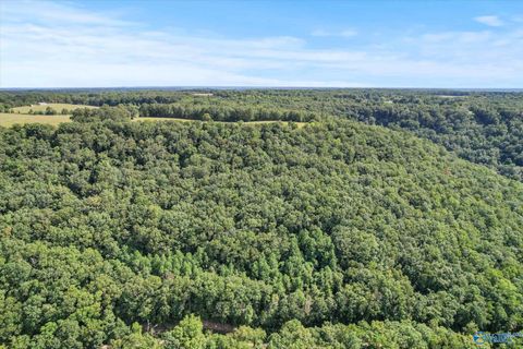 Vacant Land For Sale - 15 Shin Point Road<br/> Grant, AL 35760