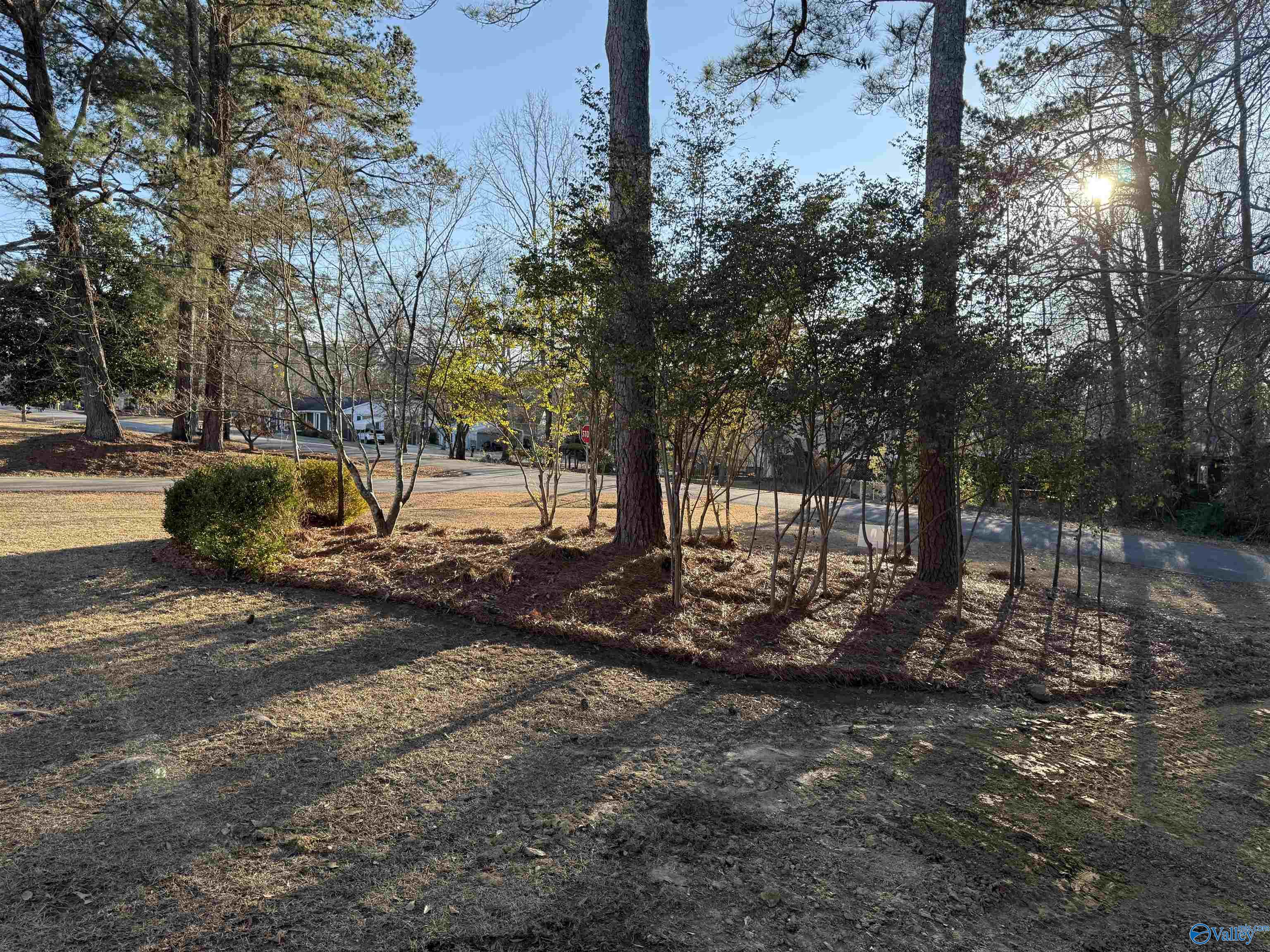 2281 Western Hills Drive, Southside, Alabama image 45