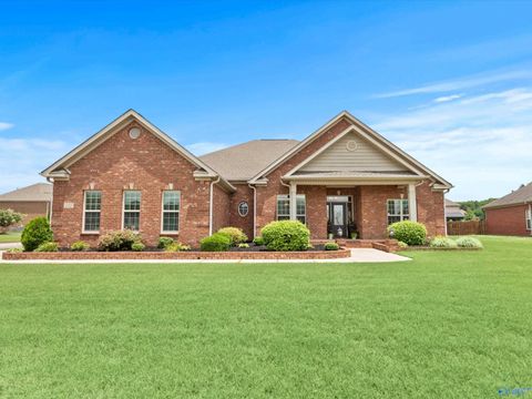 Photo of 112 Brooklyn Court, Madison, AL 35757 (MLS # 21919515)