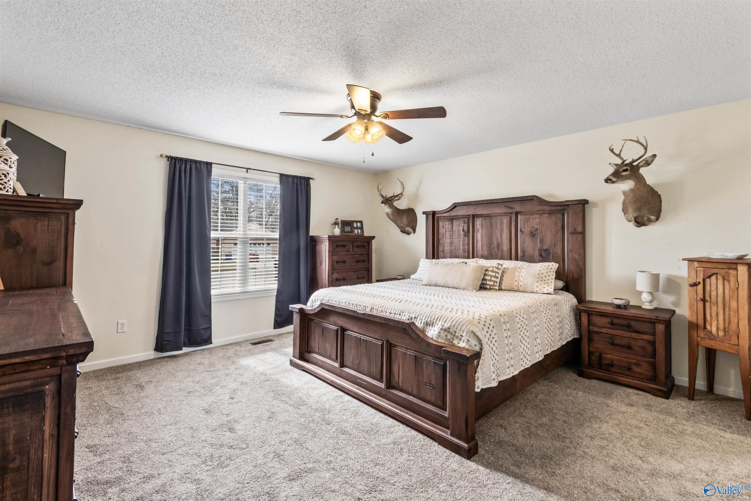 215 Granite Circle, Albertville, Alabama image 12