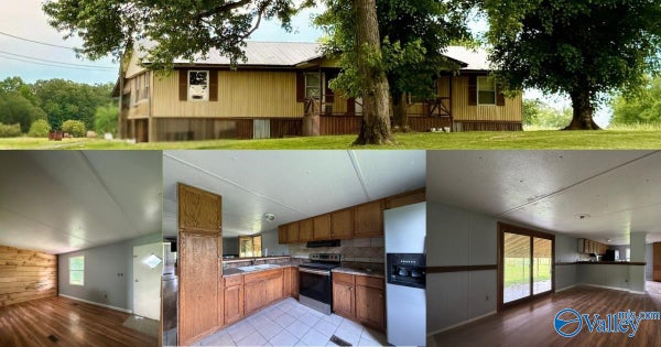 6540 SARDIS RD, BOAZ, AL 35956 - Image 46f55fe5b52f4208428fa969e4874b90/1486879735
