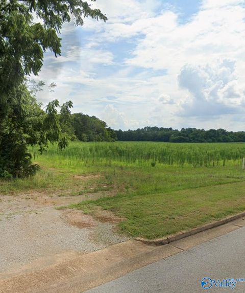Vacant Land For Sale - 1 ACRE Pulaski Pike<br/> Huntsville, AL 35810