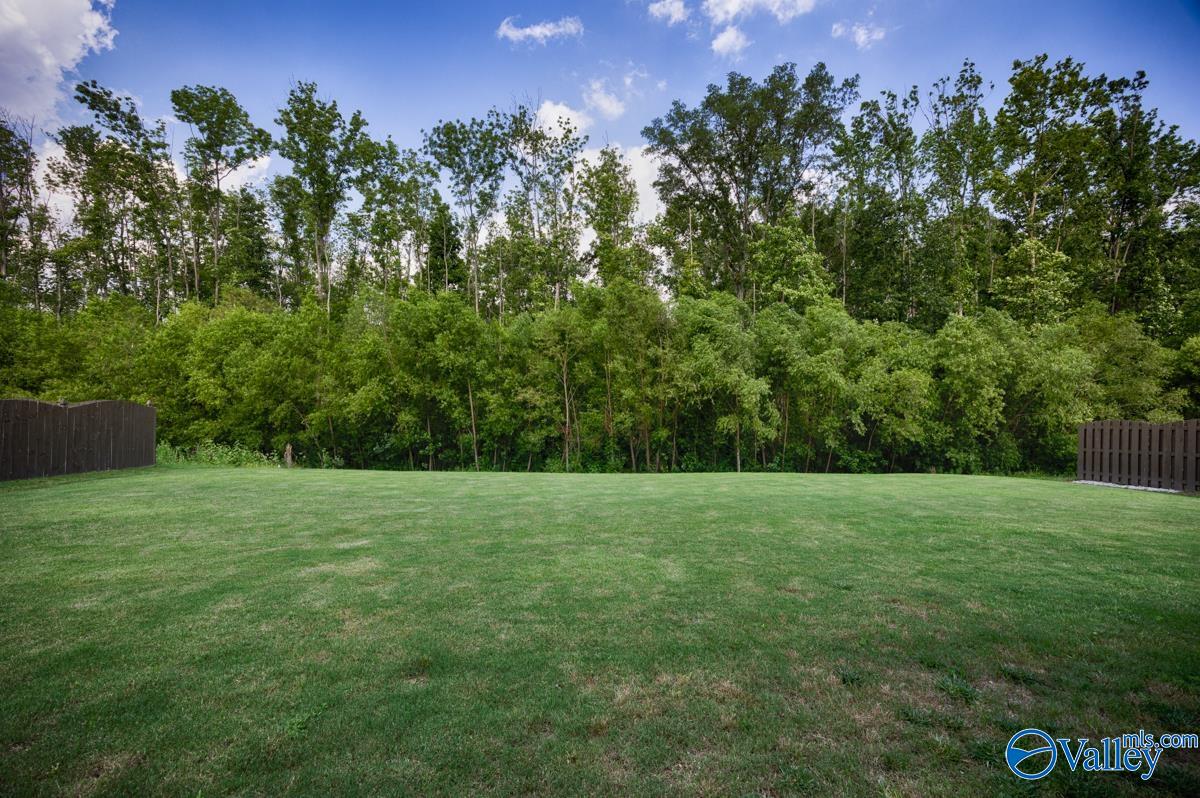 7528 Flint Crossing Circle, Owens Cross Roads, Alabama image 44