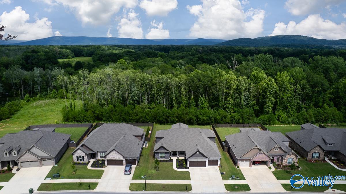 7528 Flint Crossing Circle, Owens Cross Roads, Alabama image 2