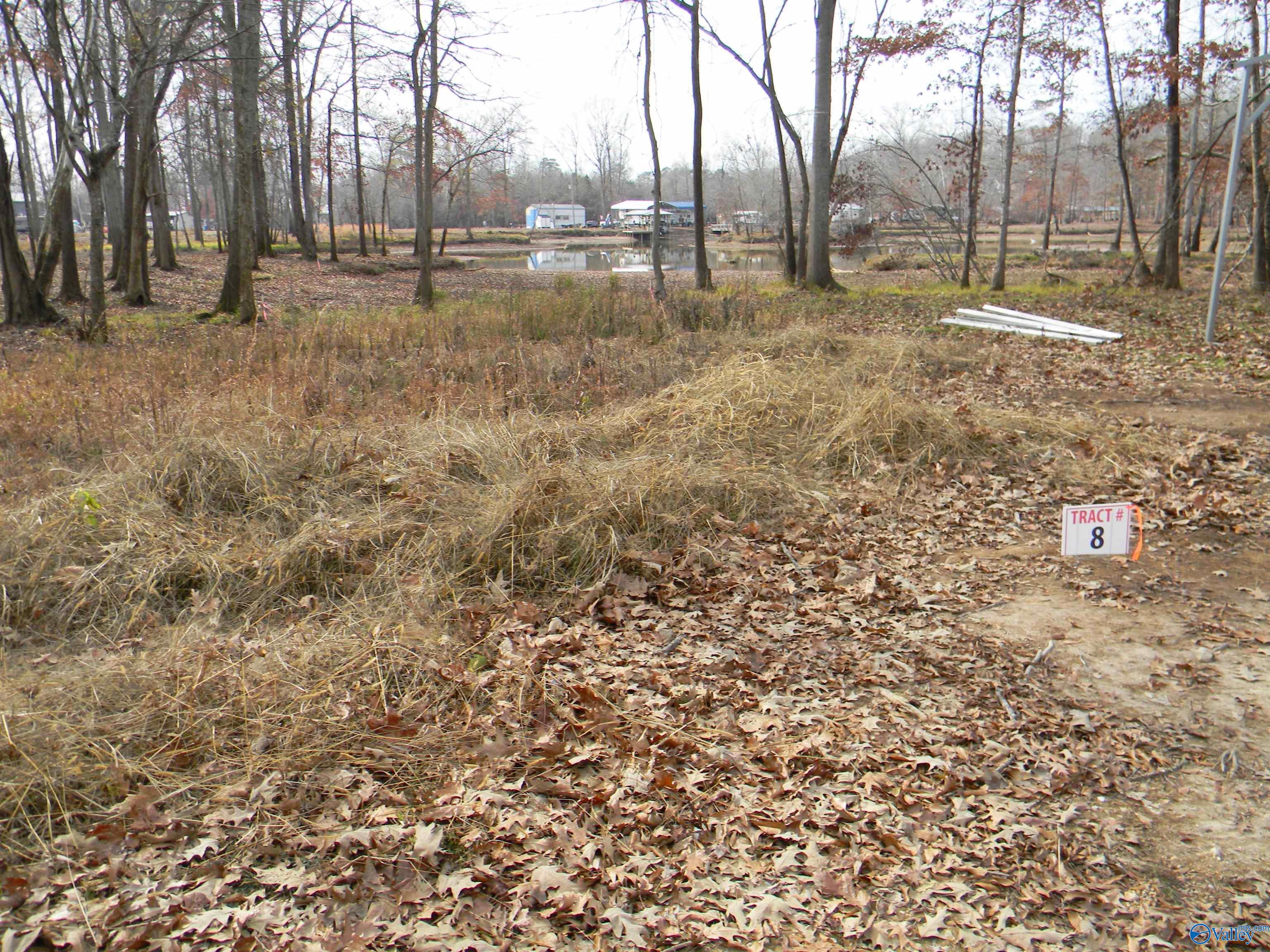 Lot8NickelsCove County Road 182, Cedar Bluff, Alabama image 1