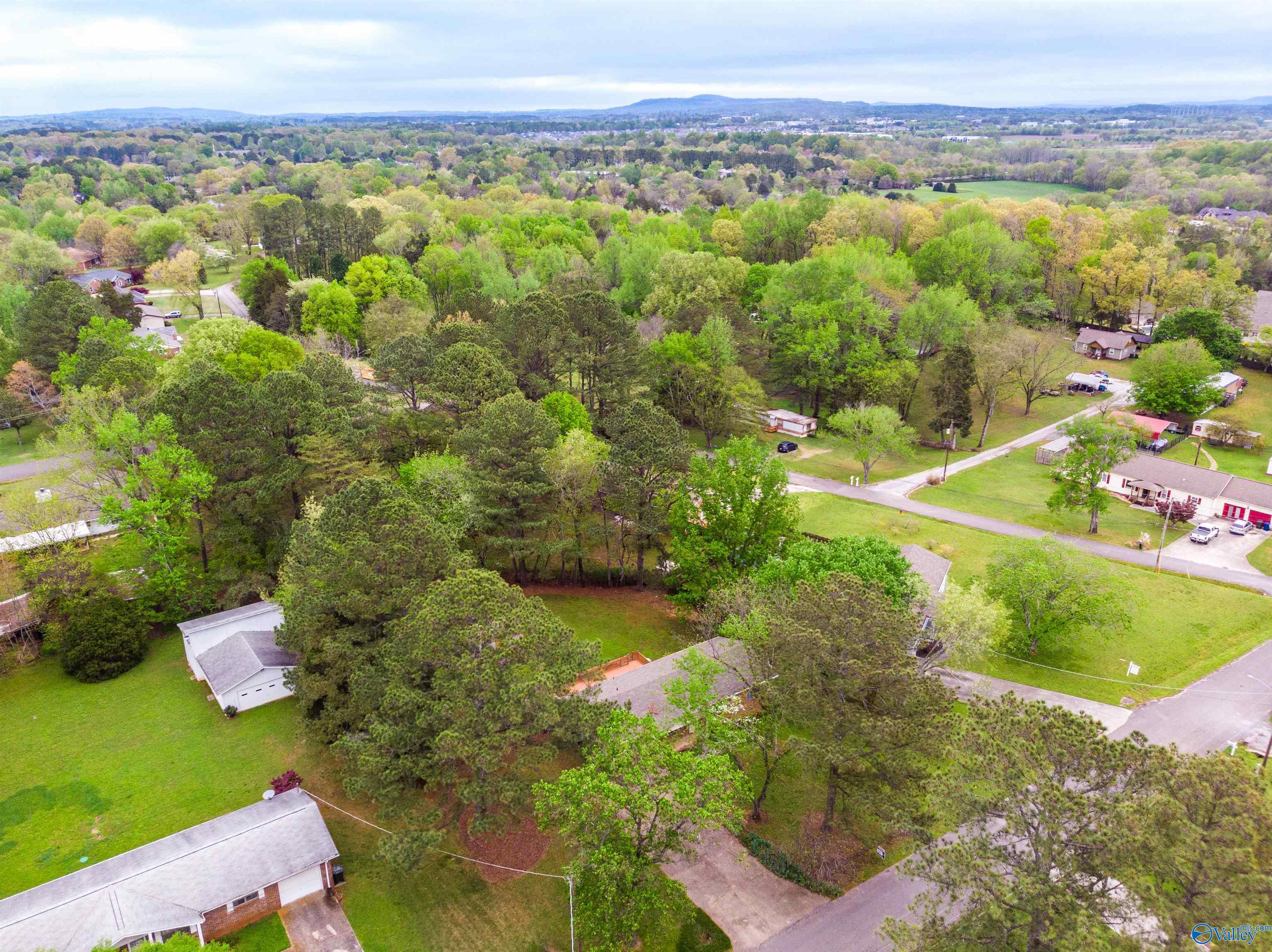 119 Beaver Run Drive, Madison, Alabama image 37