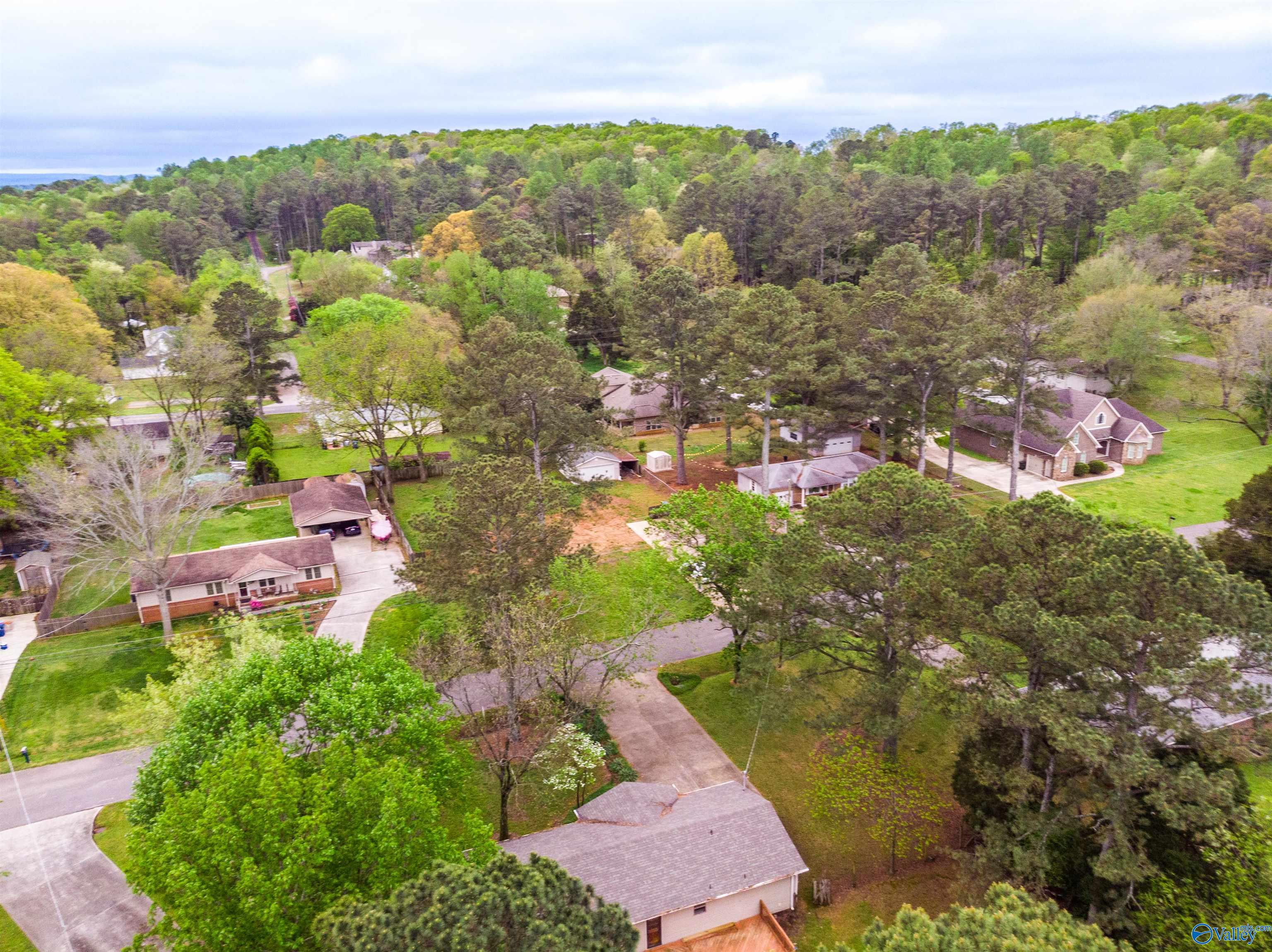 119 Beaver Run Drive, Madison, Alabama image 40