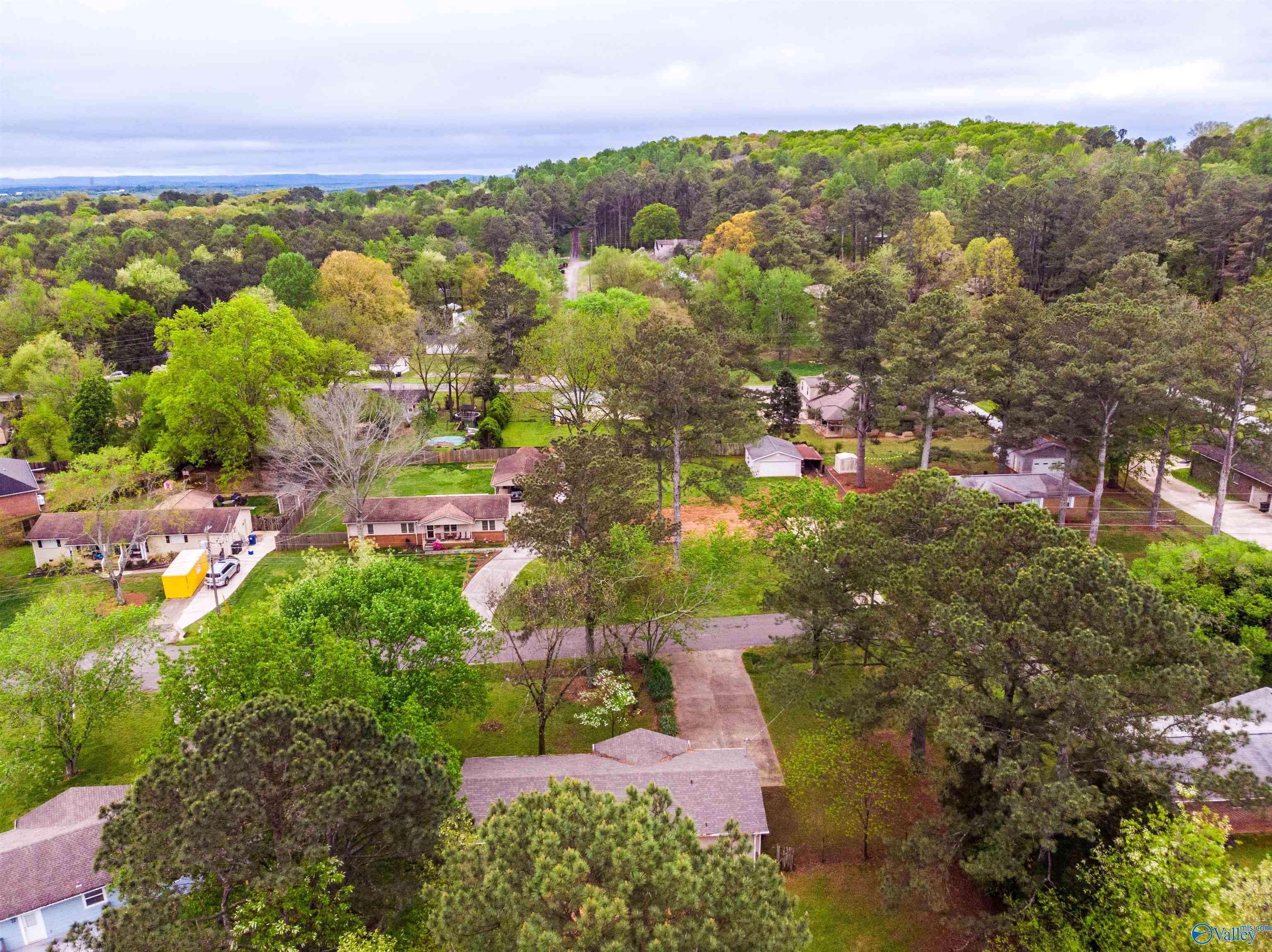119 Beaver Run Drive, Madison, Alabama image 41
