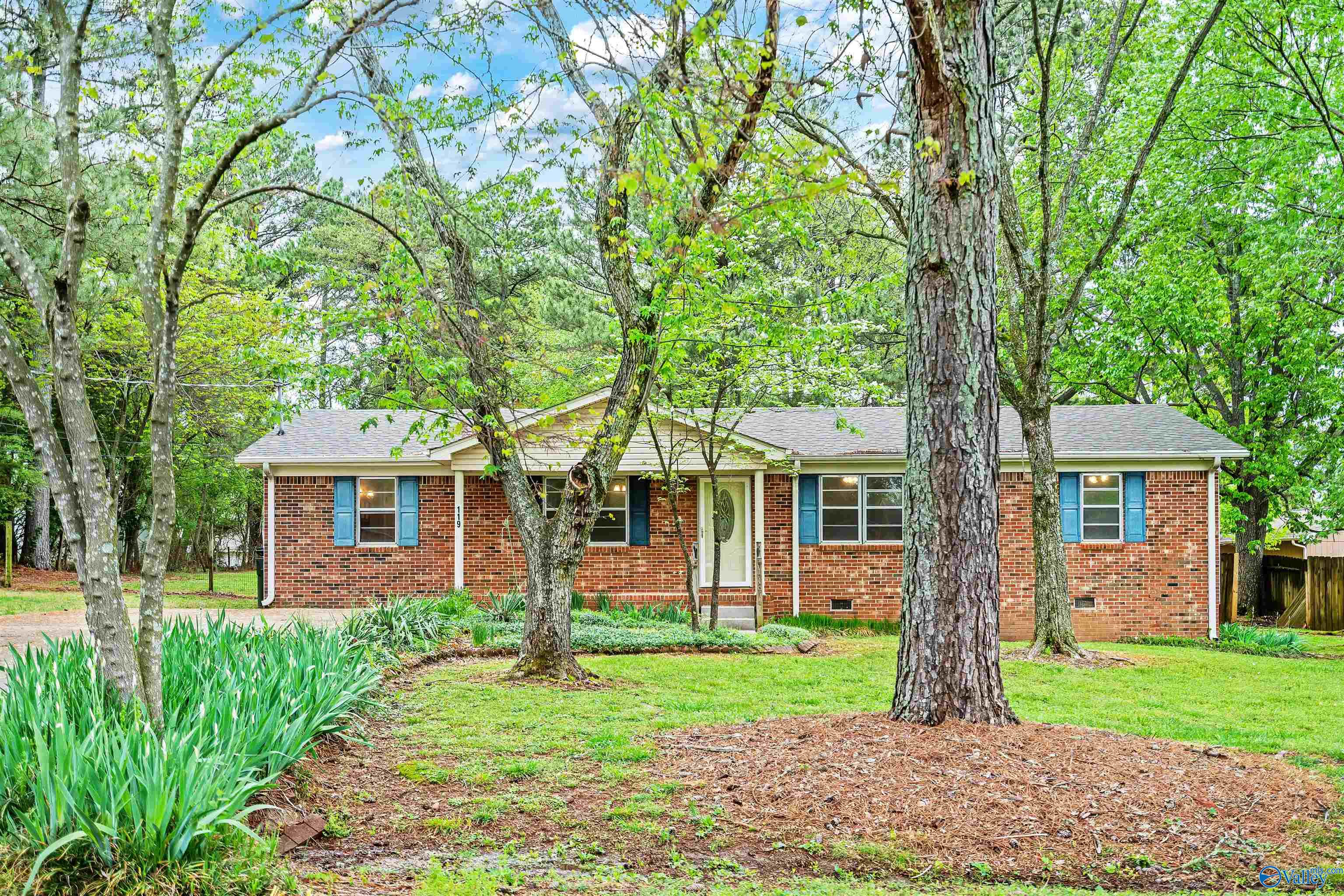 119 Beaver Run Drive, Madison, Alabama image 1