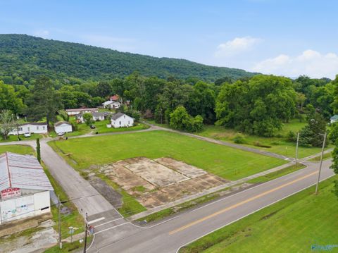 Vacant Land For Sale - 0.73 ACRES Nebraska Avenue<br/> Stevenson, AL 35772