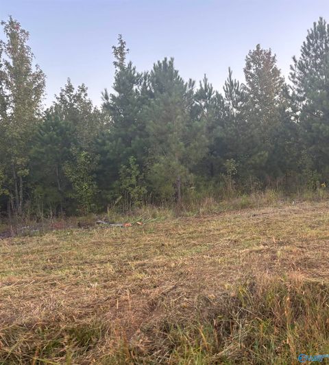 Vacant Land For Sale - 9405 Us Highway 411<br/> Cherokee County, Centre, AL 35960