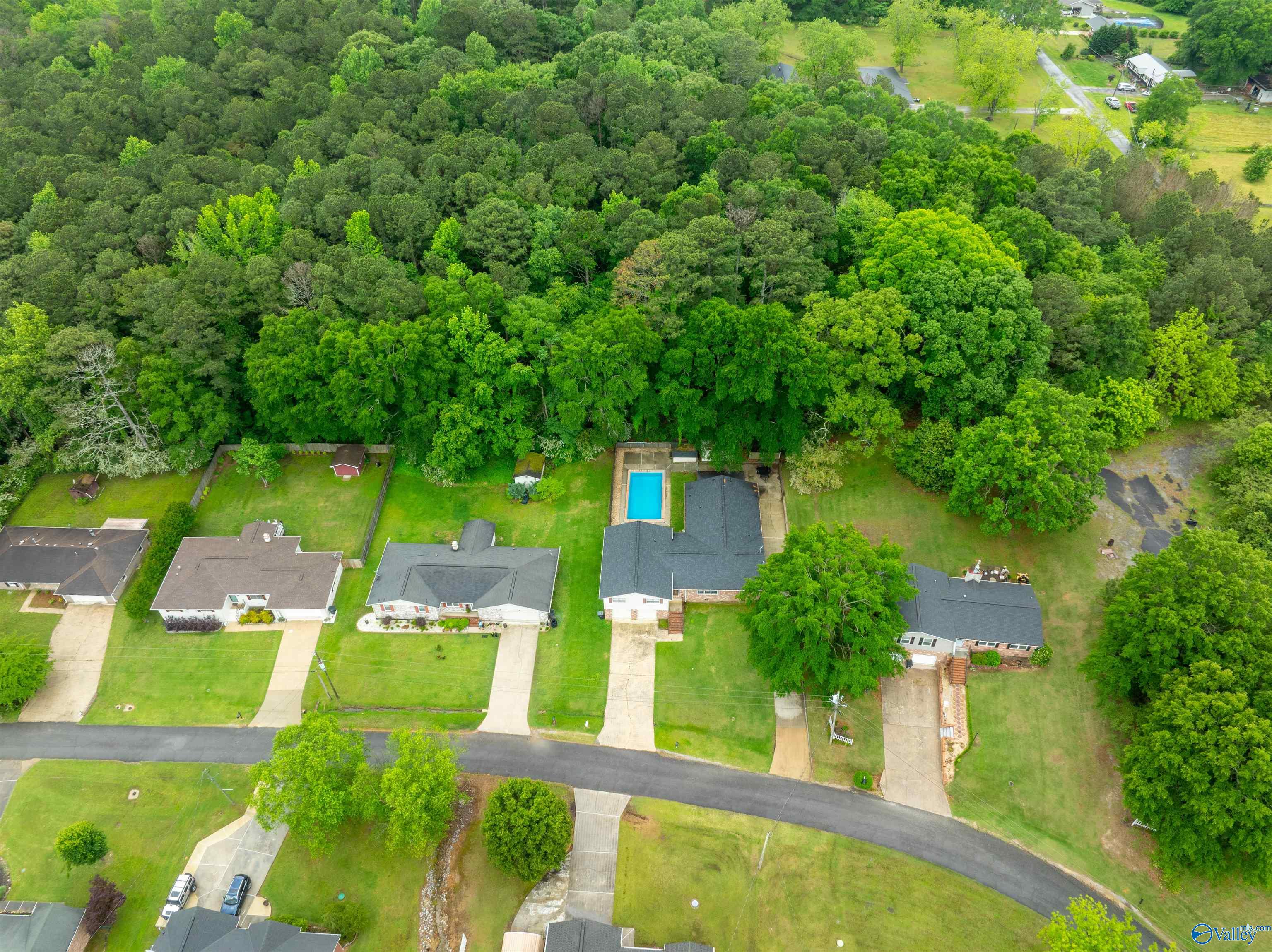 3071 Hawthorne Circle, Southside, Alabama image 28