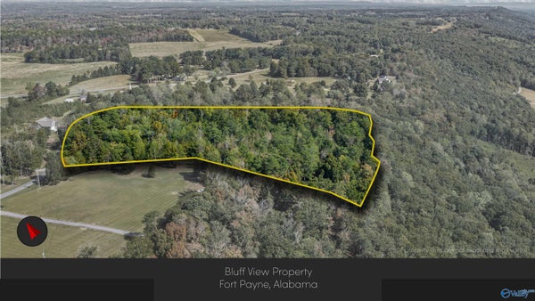 211 BLUFF VIEW DR, FORT PAYNE, AL 35968 - Image 478ebcd2f8783d1b1463eba8a4bdb6a8/1028238695