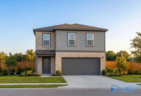 Homes For Sale - 208 Irish Hill Drive<br/> Meridianville, AL 35759