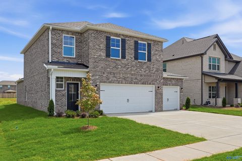 Homes For Sale - 208 Irish Hill Drive<br/> Meridianville, AL 35759