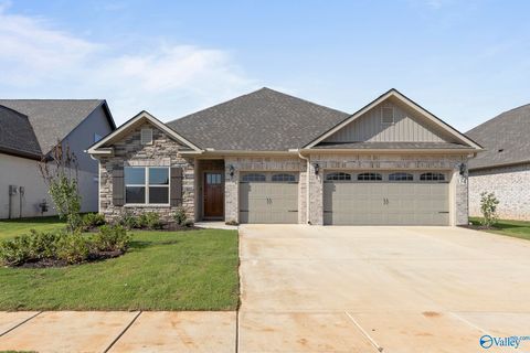 Photo of 162 Virtue Way, Harvest, AL 35749 (MLS # 21905527)