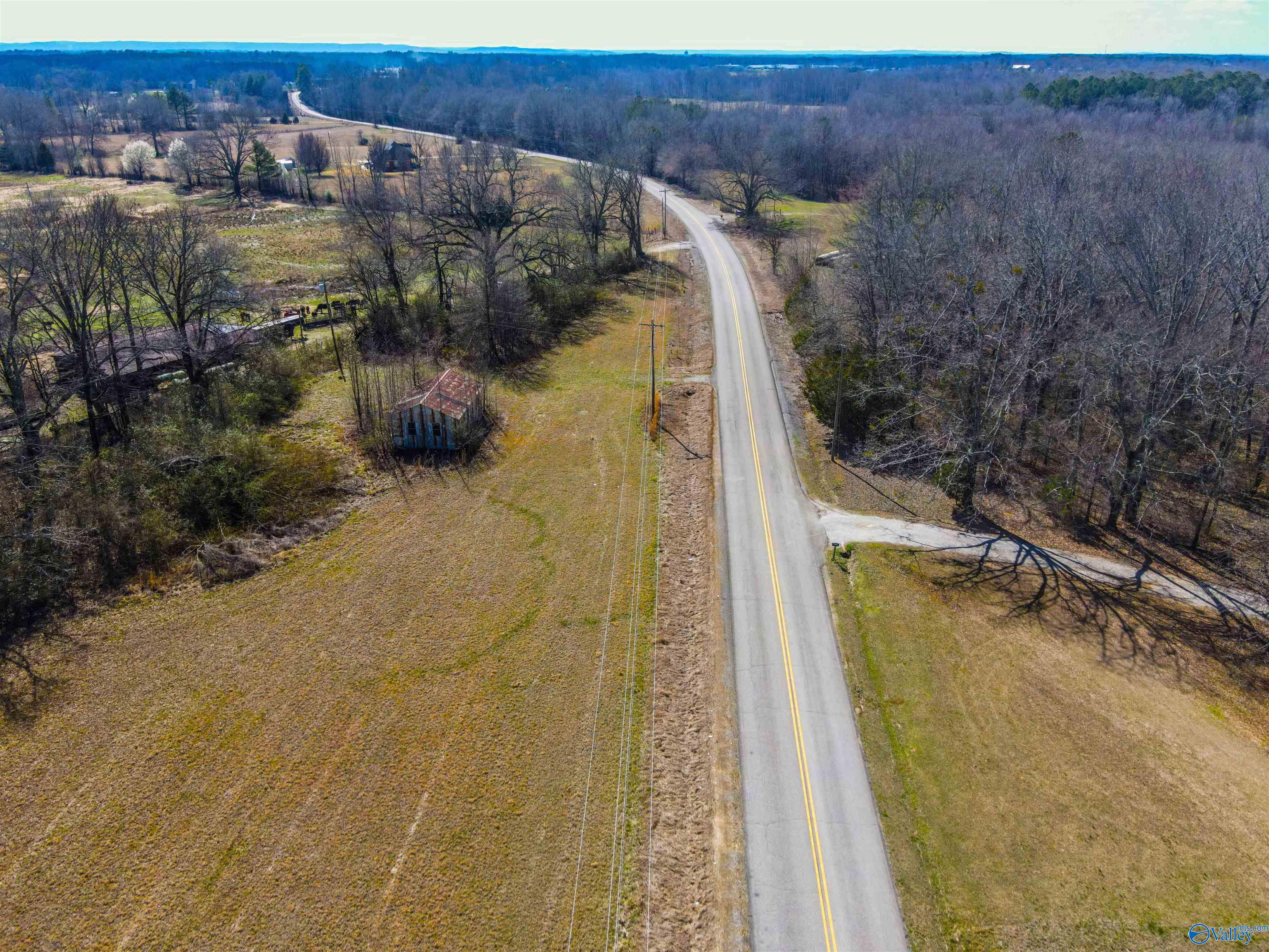 6.2 Ac County Road 170, Hillsboro, Alabama image 4