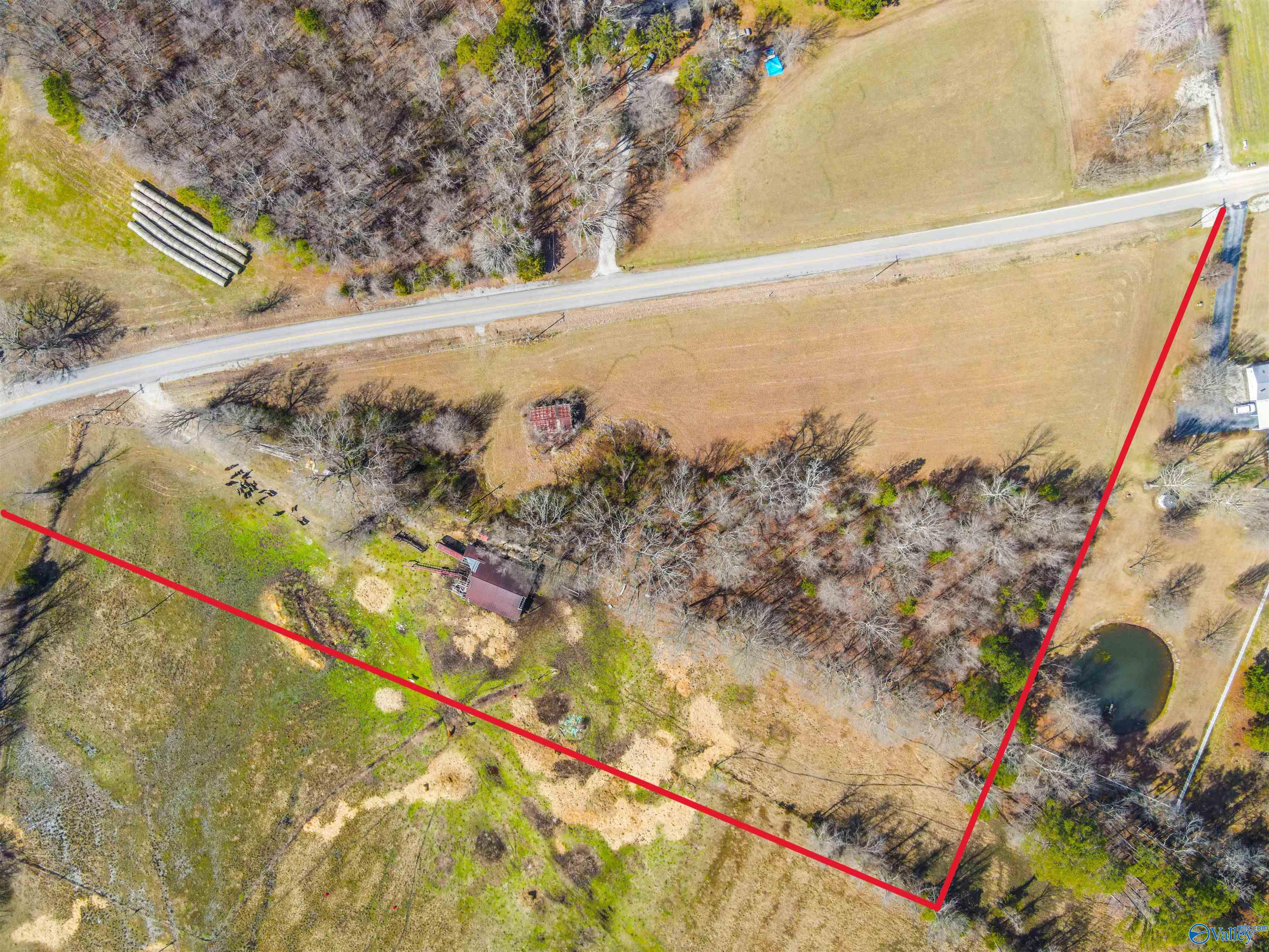 6.2 Ac County Road 170, Hillsboro, Alabama image 7