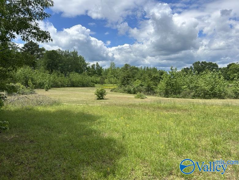11 Gaines Road, Altoona, Alabama image 2