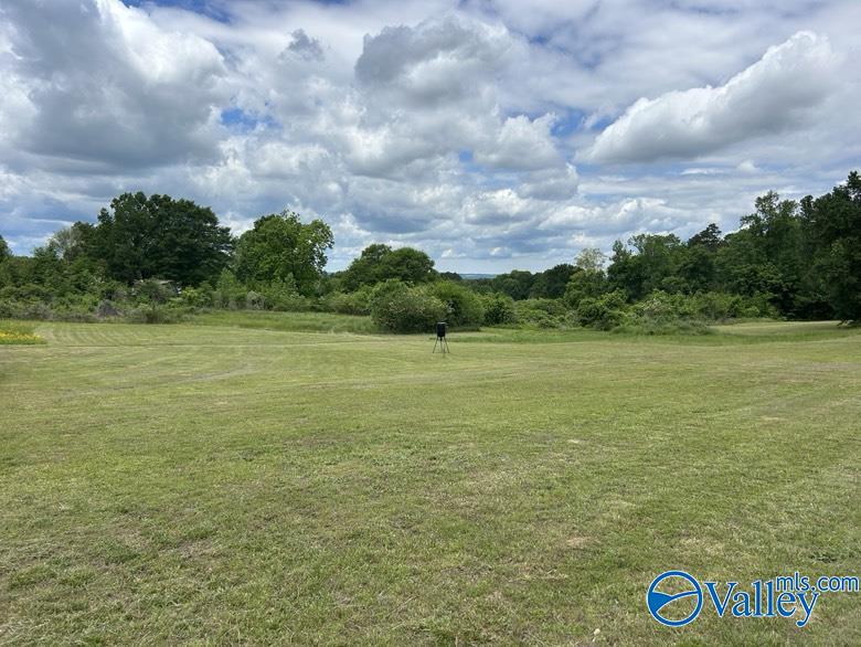 11 Gaines Road, Altoona, Alabama image 1