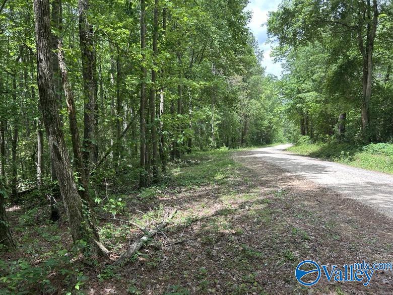 11 Gaines Road, Altoona, Alabama image 7