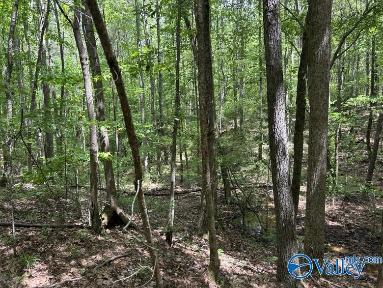 11 Gaines Road, Altoona, Alabama image 4