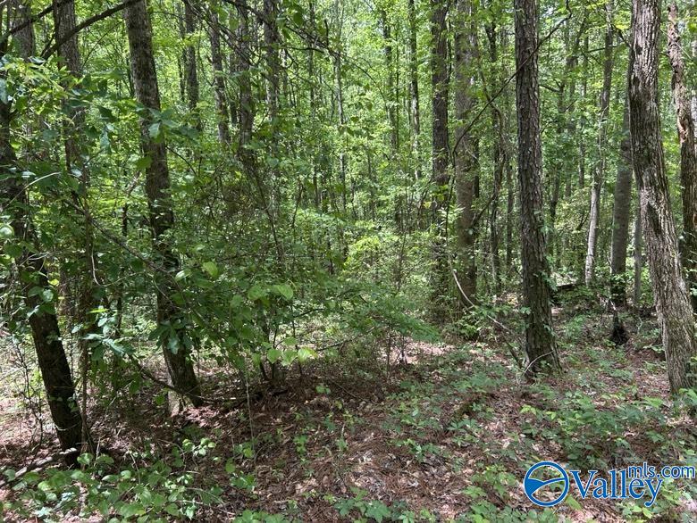 11 Gaines Road, Altoona, Alabama image 8