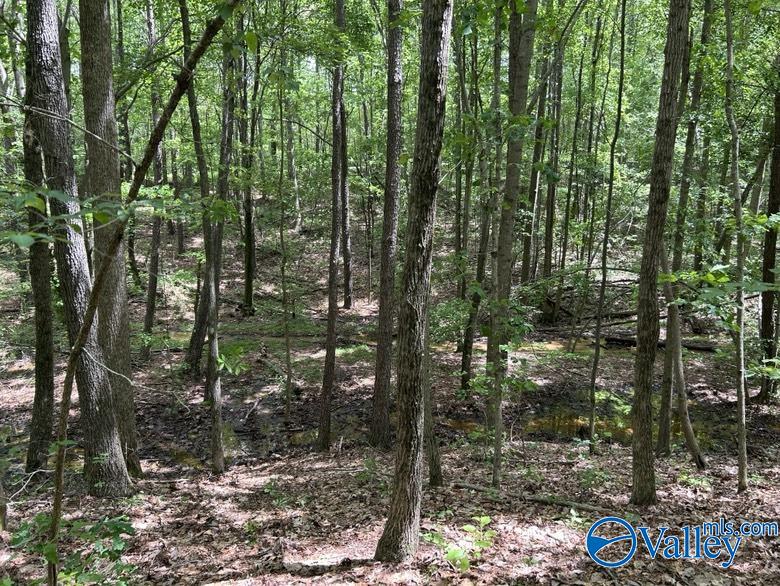 11 Gaines Road, Altoona, Alabama image 9