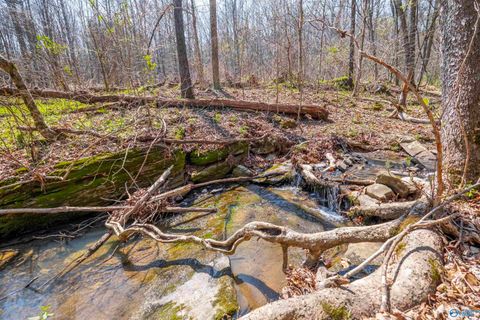 Vacant Land For Sale - 163 ACRES Duck Springs Road<br/> Etowah County, Attalla, AL 35954