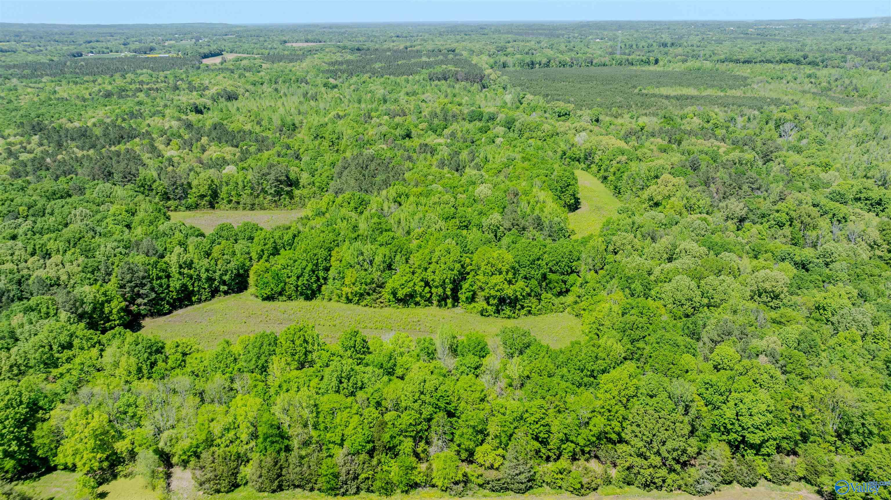 71+/- Acres County Road 343, Russellville, Alabama image 12