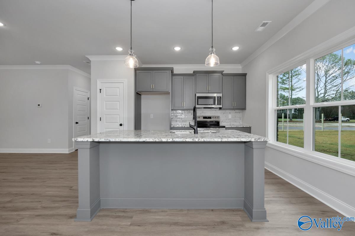 100 Alton Dale Drive, Toney, Alabama image 19